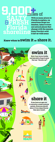 Swim It Shore It Graphic