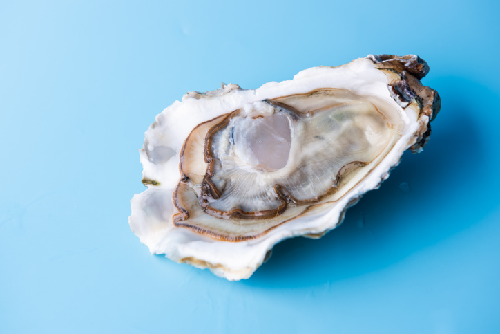 Image of a single raw oyster